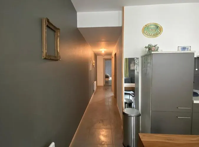 APPARTEMENT neuf au centre ville situé au rdc avec terrasse